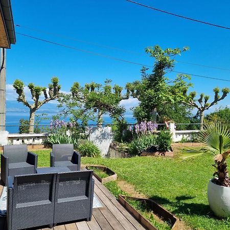 Appartement Cozy 1 Panoramique Lac Leman Thonon-Les-Bains Zewnętrze zdjęcie